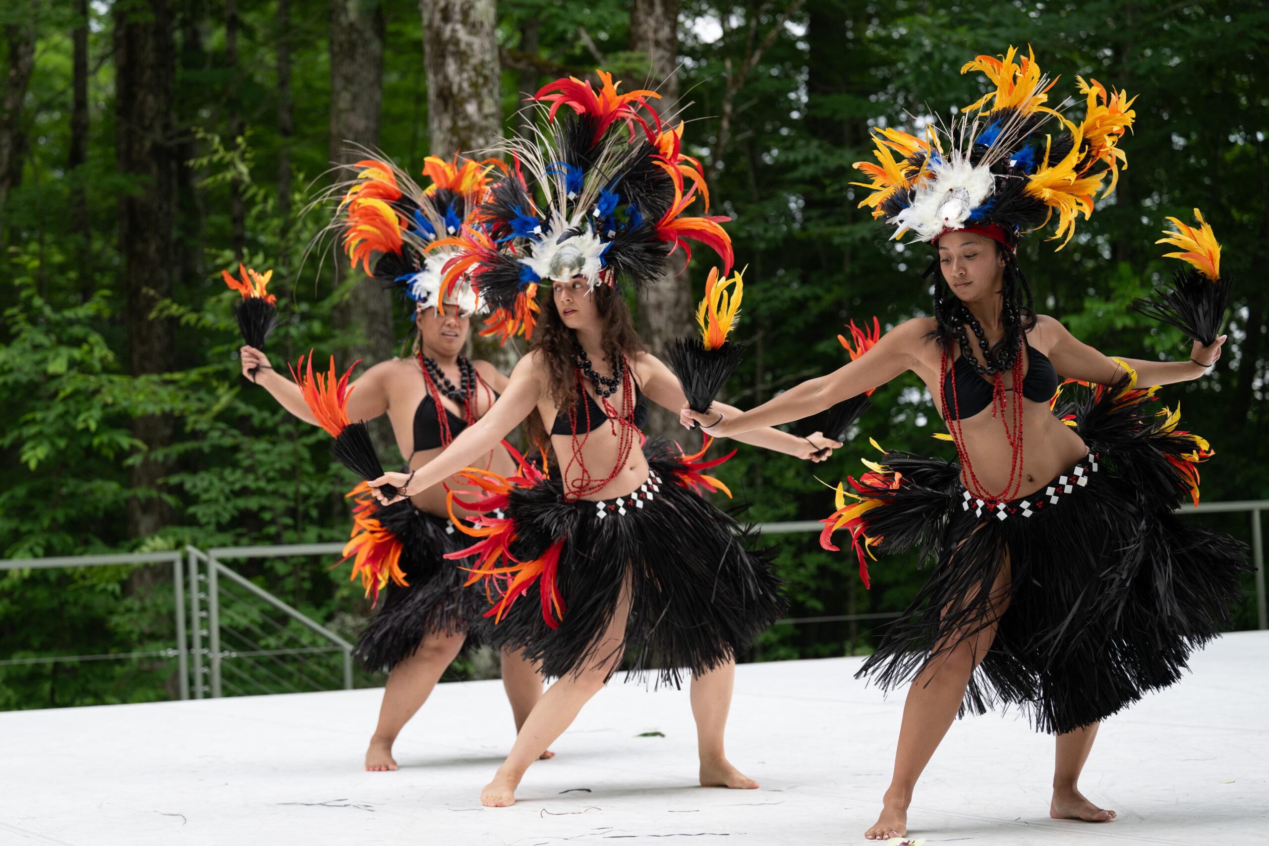 Te Ao Mana: Te Natura - Jacob’s Pillow Dance Interactive